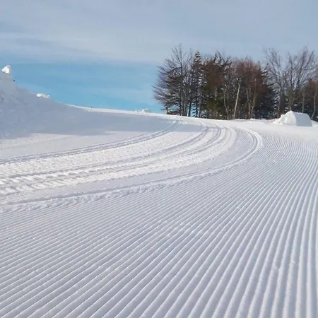 Casa Vacanze Il Vicoletto *